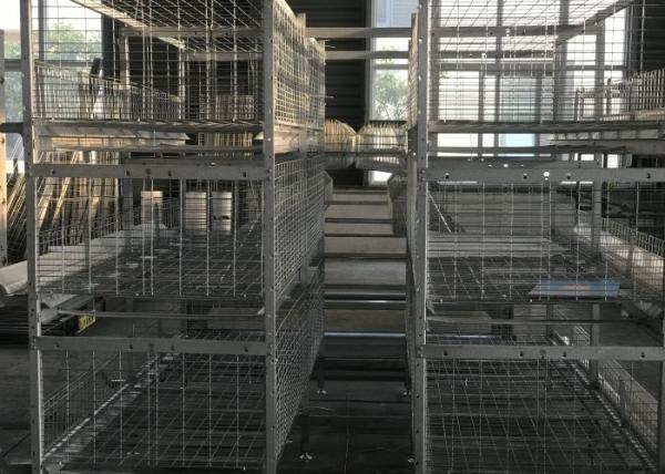 H Type  Broiler Chicken Cage 180 Birds Capacity 1200×625×480 Mm For Chicken Farm