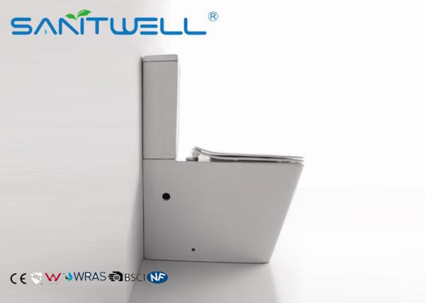 Rimless Toilet  Ceramic Back to Wall Wash Down P Trap Bathroom Bowl With Soft Close Seat Close Coupled Toilets