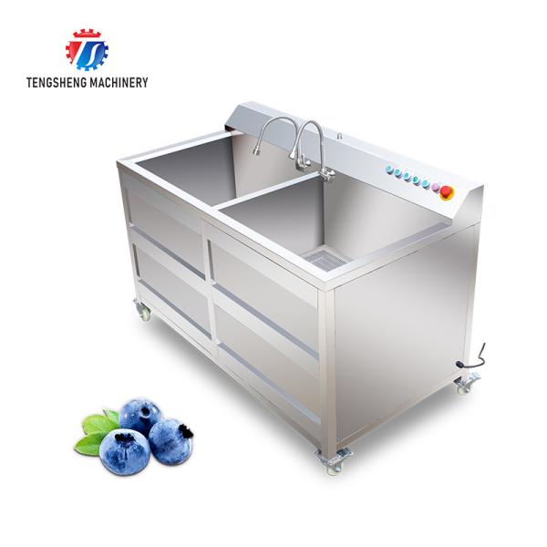 1.1KW Commercial eddy current bubble washing machine ozone multifunctional vegetable washing machine