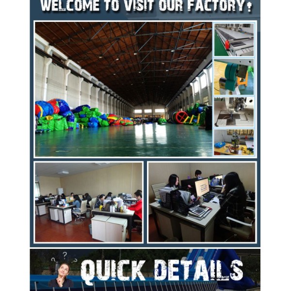 Kids High Quality Inflatable Small Water Slide on Land