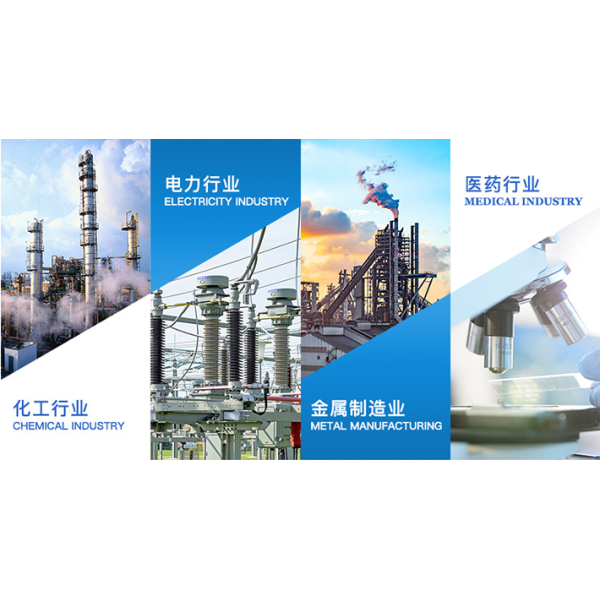 Vertical Design Stainless Steel Filter Housing with 0.2 μm Filtration Precision and 0.6Mpa Working Pressure