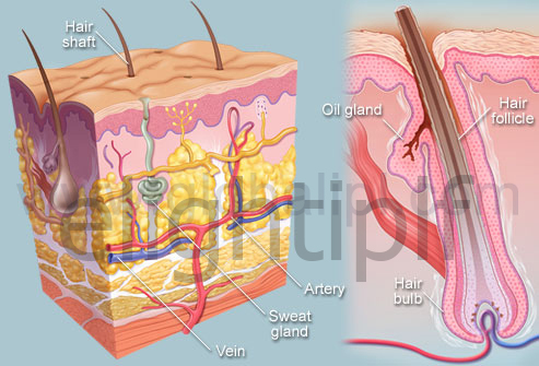 Microchannel Diode Laser 808 Hair Removal Device For Women & Men