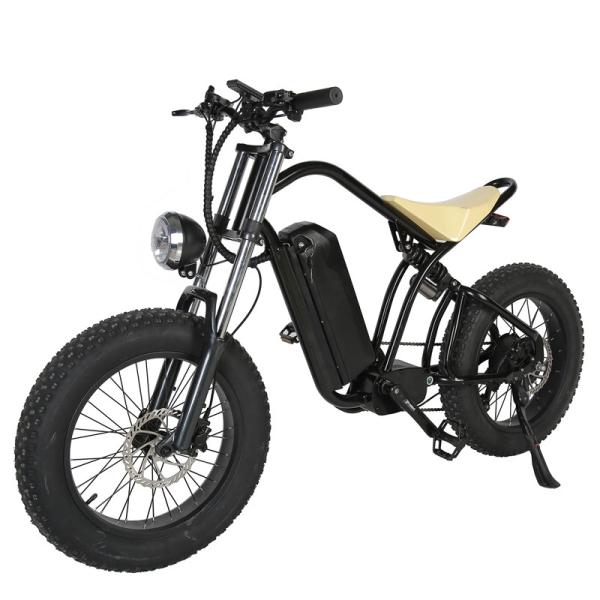 7 Speed Gears 1000w 750w Motor Fat Tire Off Road Dirt Bike Electric Bike Adult with 20*4