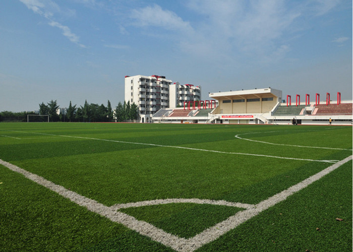 11000Dtex Outdoor Baseball Artificial Turf Olive / Dark Green , High UV-resistance
