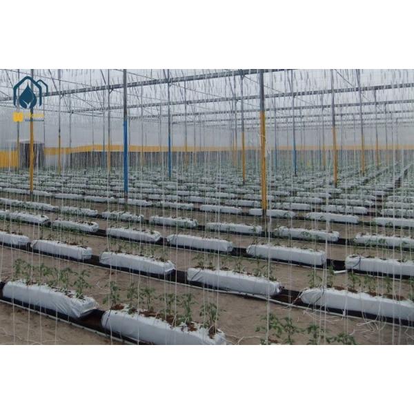 Cocopeat Hydroponic Trough Systems Customized Vegetable Plant Trough Durable