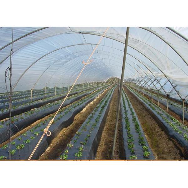 Polypropylene Woven Plastic Ground Cover , 4.2x100m 100gsm Black Garden Fabric