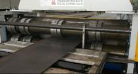 Pólo claro cortou à linha máquina do comprimento para a máquina de corte do cargo da lâmpada da espessura de 2 - de 6mm