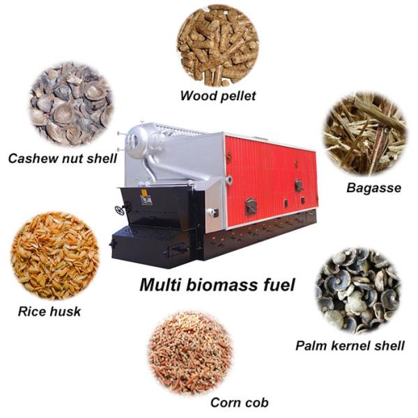 Industrial Automatic Feeding 2000kghr Paddy Rice Husk Fired Boiler For Rice Mill