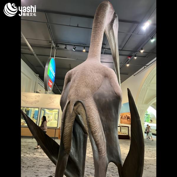Silicone Lifelike Pterodactyl Dinosaur Model Movable Electrically Powered