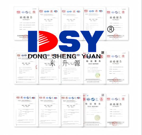 Shenzhen Dong Sheng Yuan Electrical Equipment Co., Ltd.