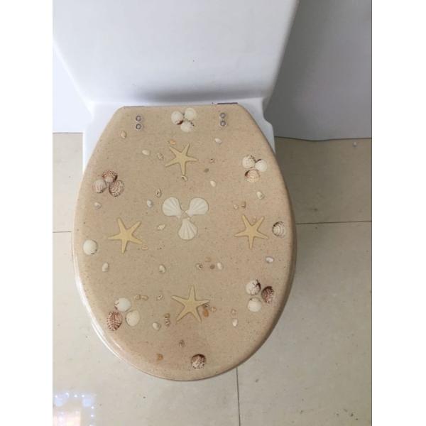 sealife  polyresin decorate sanitary ware toilet seat with best quality hinge,sand toilet seat