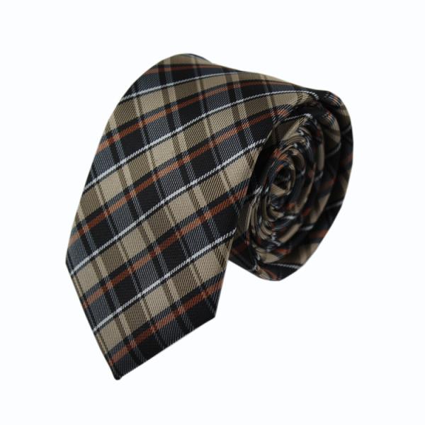 Latest checked Polyester Necktie