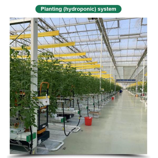 Сельскохозяйственная теплица для выращивания овощей, фруктов и цветов в любое время года