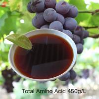 Amino Acid Liquid 45% w/v Amino Acid Raw Material 6% Total Nitrogen CAS 65072-01-7