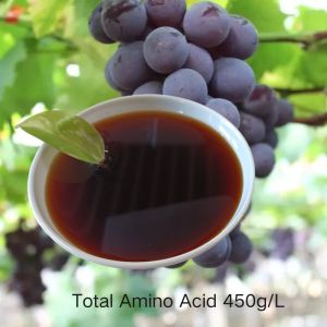 Аминокислота жидкая 45% w/v Аминокислота сырье 6% общее количество азота CAS 65072-01-7