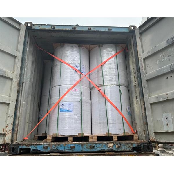 Papel térmico sin BPA Jumbo Roll Grammage 45 g / 55 g / 60 g / 70 g