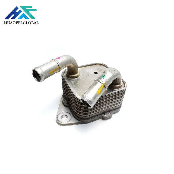 Automatic Used Transmission Parts F221 Transmission Cooler Assembly For BMW