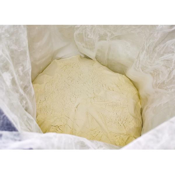 Aquaculture Feedstuff Ingredient Vital Gluten Powder , Slightly Yellowish