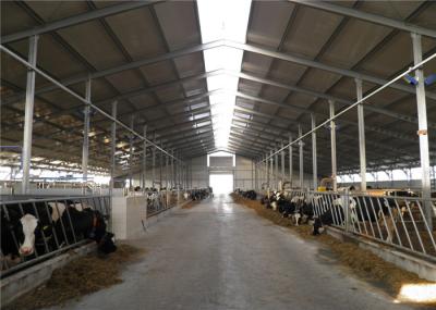 La ferme en acier résistante de vent jette les bâtiments préfabriqués de ferme pour facile de volaille assemblé