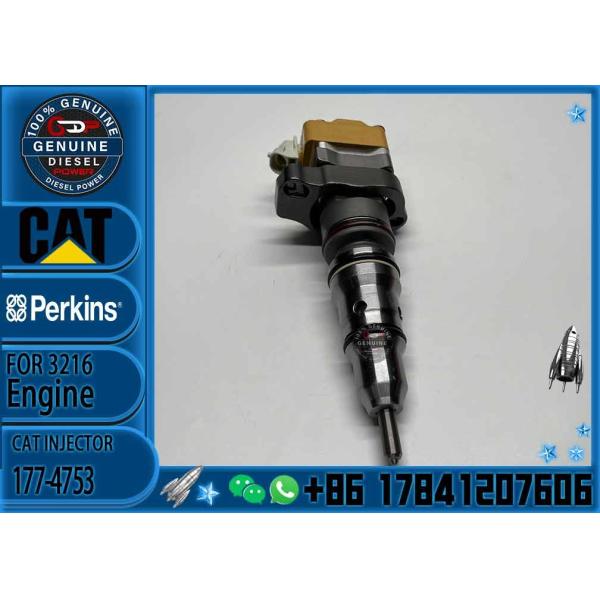 Fuel Injector  171-9704 10R-1306 10R-1257 229-8842 178-6342 178-6343 177-4752 177-4753 For Engine Caterpillar 312