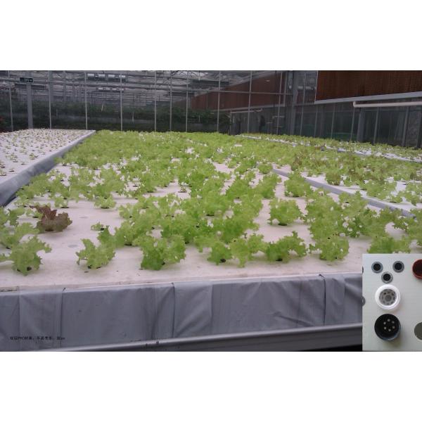The Best Garden Vertical Hydroponics System NFT for Vegetable & Flower Growing