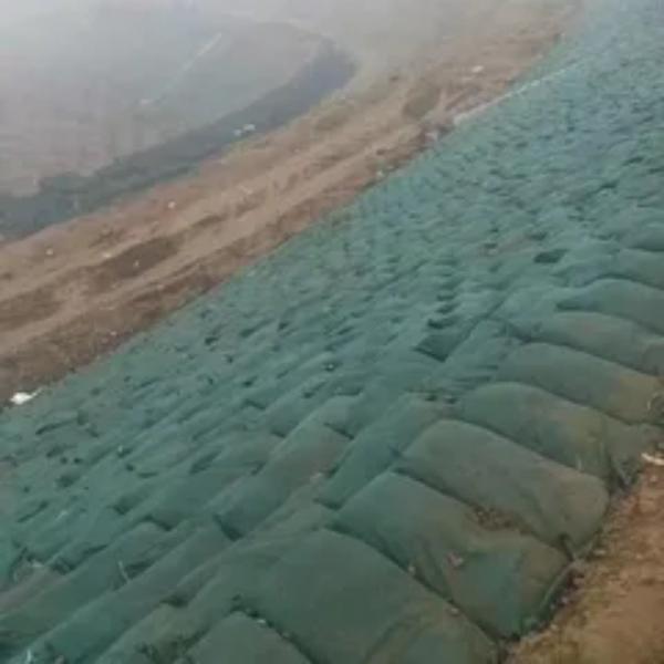 Sacs de sable géotextiles non tissés Sacs de culture géotextiles pour les plantations