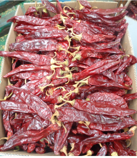 Красный сушеный перц, пряности и приправы, порошок для пищевых продуктов.