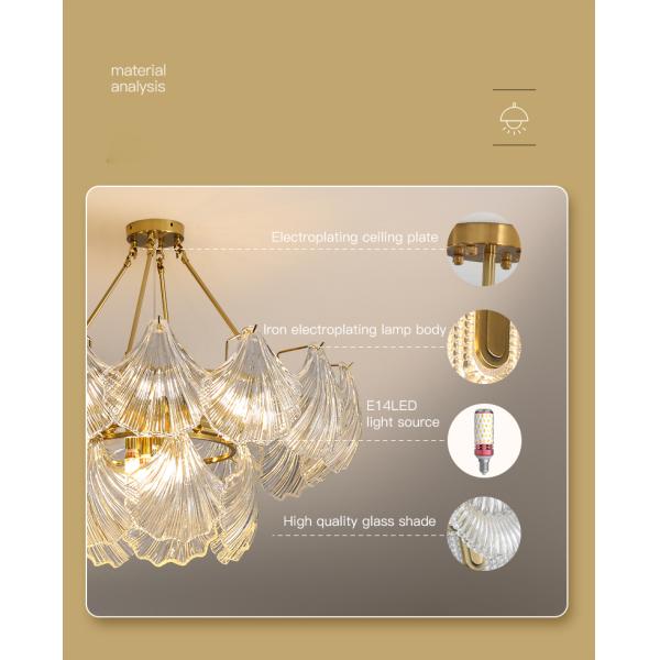 Modern Led Chandelier For Living Room Frosted Glass Luxury Shell Chandelier Lamp(WH-CY-247)