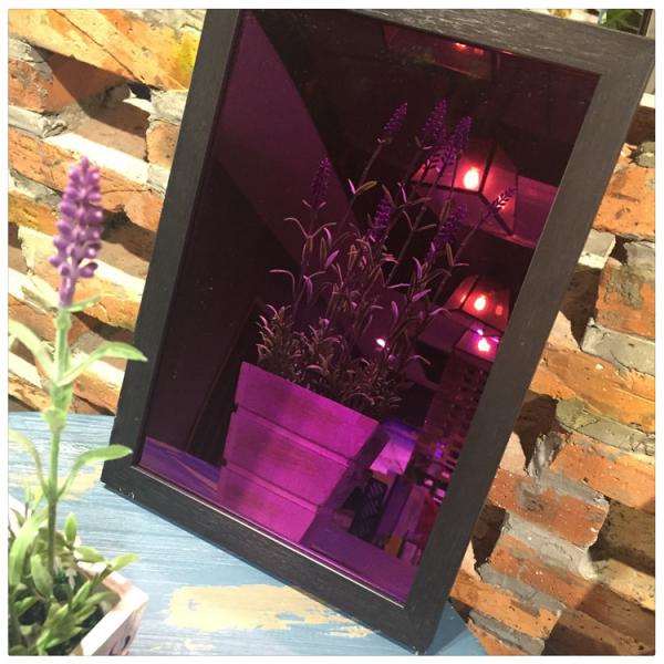 2019 Hot Sale China Titanium Coating Stainless Steel Colored Sheet Price Per KG