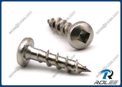 304/316/410 Stainless Steel Robertson Square Drive Pan Head Wood Screws
