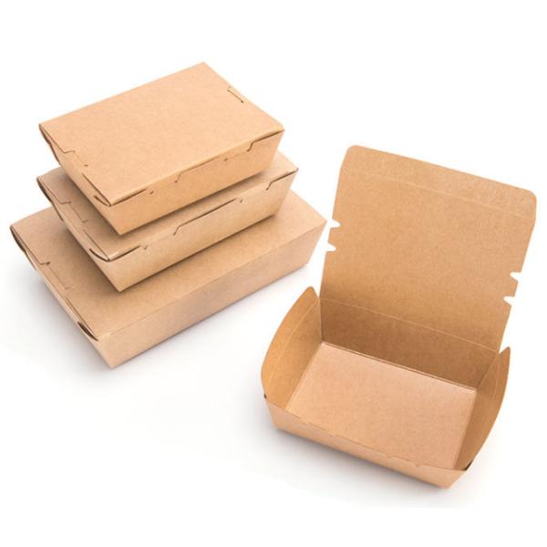 Biodégradable Grande boîte à repas à la coquille à emporter Salade de nourriture chaude Boîte d'emballage en papier