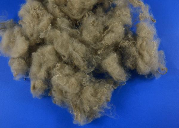 Synthetic PET Staple Fiber , PPS Fiber Multiple Colour Good Flexibility