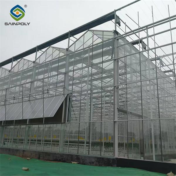 Multispan Agricultural Venlo Glass Greenhouse Hot Galvanized Steel Customized