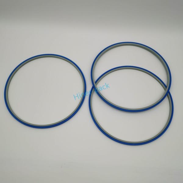 ODM Silicon Wafer Hoop Ring Gris et Bleu certifié ROHS