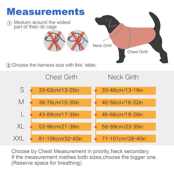 Choke Free Dog Halter Harness Leash Set 5 Ft Double Handle Shock Absorbing Bungee