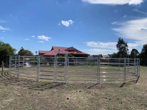 Corral 6 Bar Oval Tube Horse Fence Panels Hot Dip Galvanized 1.8x2.1m