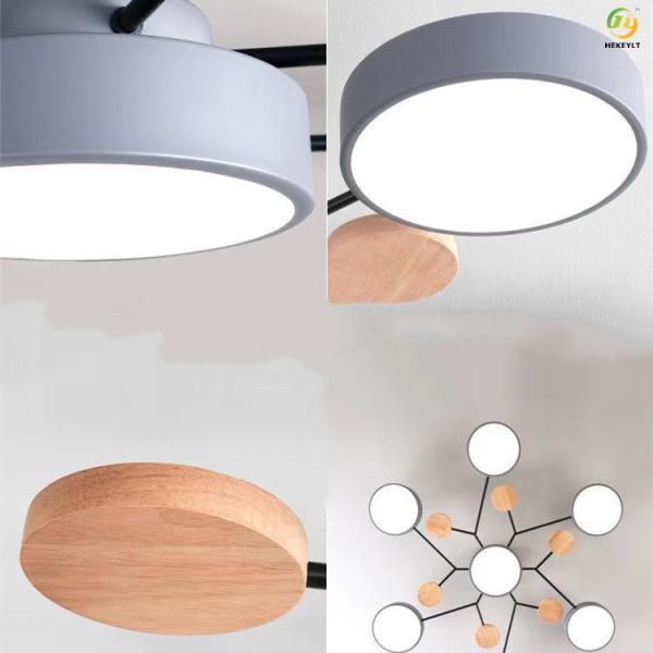 Used For Home/Hotel/Showroom LED Fashionable Atmosphere Ceiling  Light