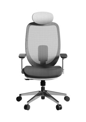 escritório Mesh Chairs de 60mm