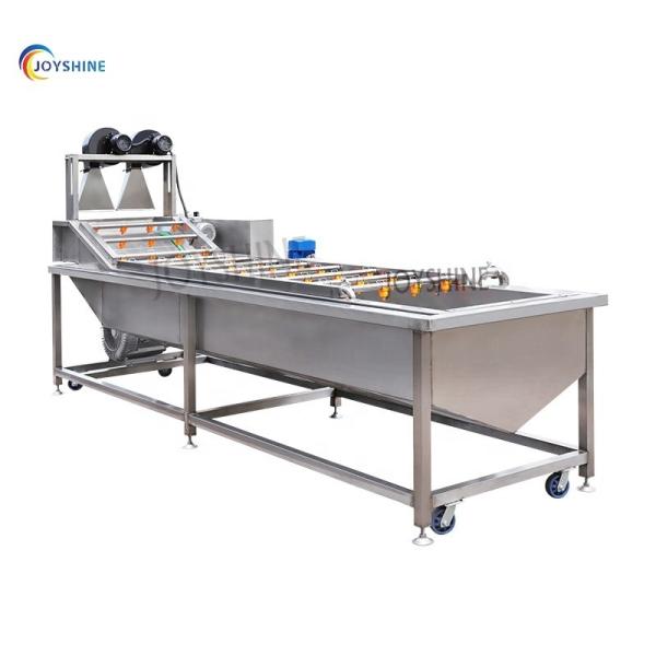 Custom Automatic Fruit Industrial Vegetable Washer For Fruit Processing Plant