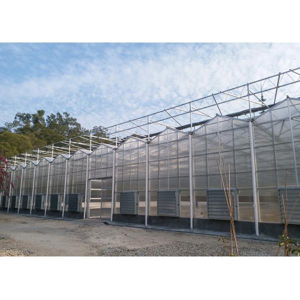 Commercial Polycarbonate Greenhouse with 3--7 Meter Roof Height and Customized PC Sheet