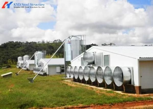 Galvanized Steel Prefabricated Poultry Farm Building for Broiler Housing