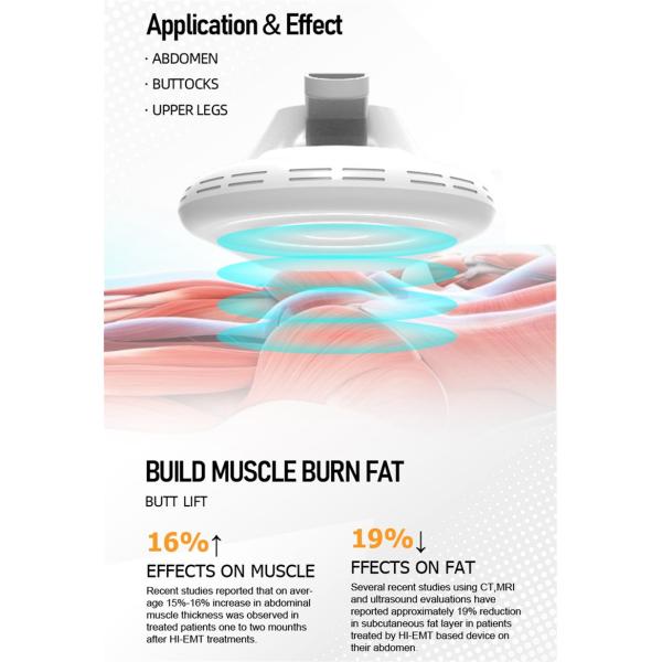 Портативный ваять мышцы тела потери веса Ems машины Emt экрана касания Hi