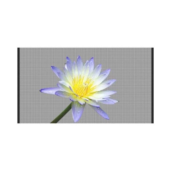 P2.5 10000CD High Brightness DC12V Flexible Holographic LED Display for Glass Curtain Wall