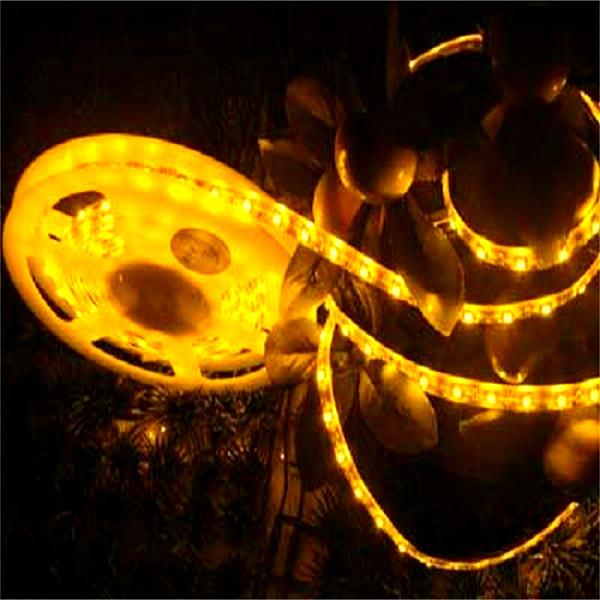 SMD5050 1M 60-LED Flexible LED Strip Light RGB 12V étanche Flexible pour la décoration intérieure
