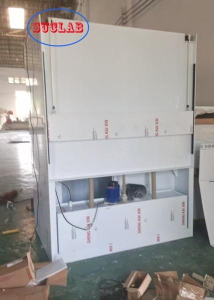 Custom 220V/110V Voltage Chemical Fume Hood with Scrubber Solutions and LED Lighting Performance