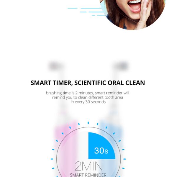 SN12 Round Head  Rotary Electric Toothbrush IPX7 Waterproof  With Magnetic Suspension