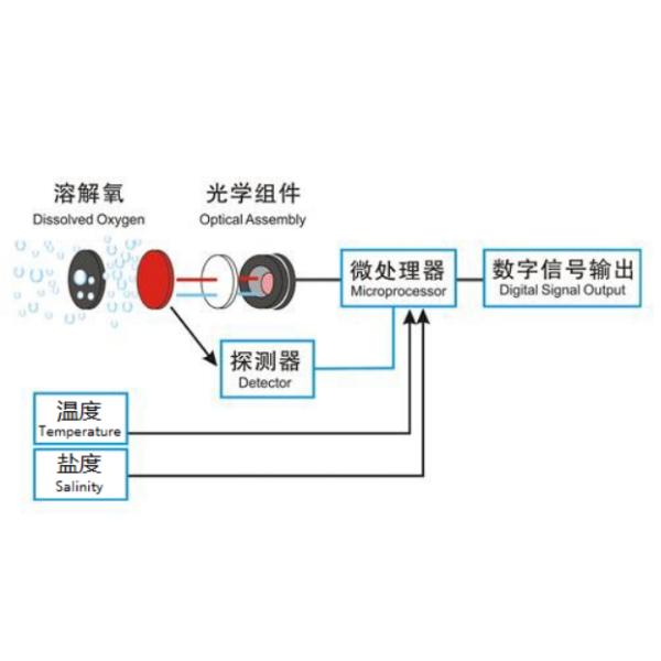 KWS-650C Online Dissolved Oxygen Sensor with Fluorescence Method No Electrolyte Required and Automatic Temperature Compensation