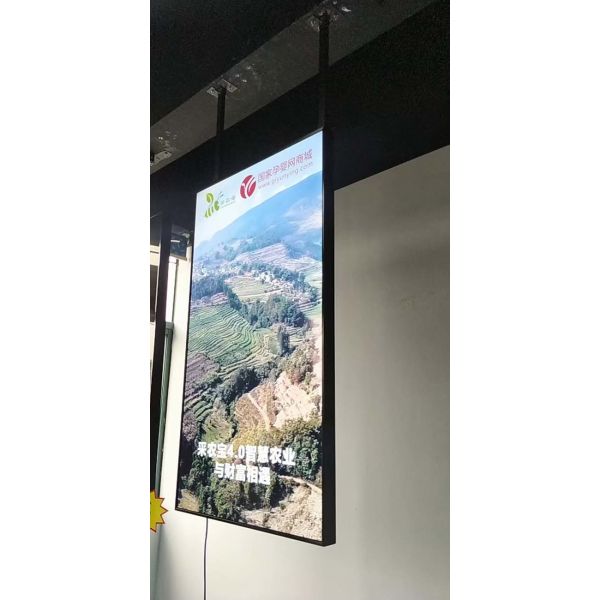 55-inch Customized Multimedia Smart Advertising Display Screen Outdoor Hanging Advertising Machine
