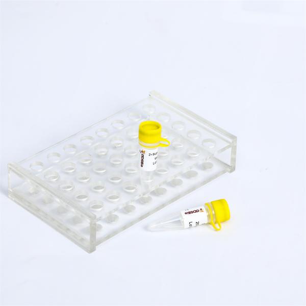 Ultra High Fidelity Super HIFI PCR Master Mix Pass Activity