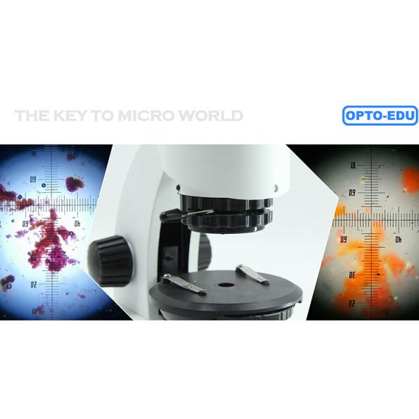 Stereo OPTO EDU 20x-100x Binocular Biological Microscope